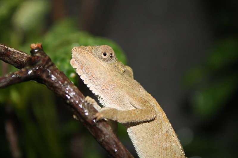 img9305u.jpg