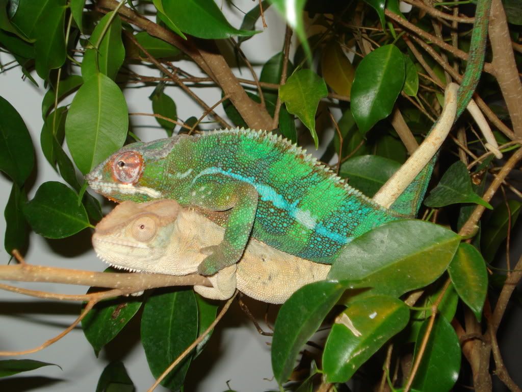 DSC00832.jpg