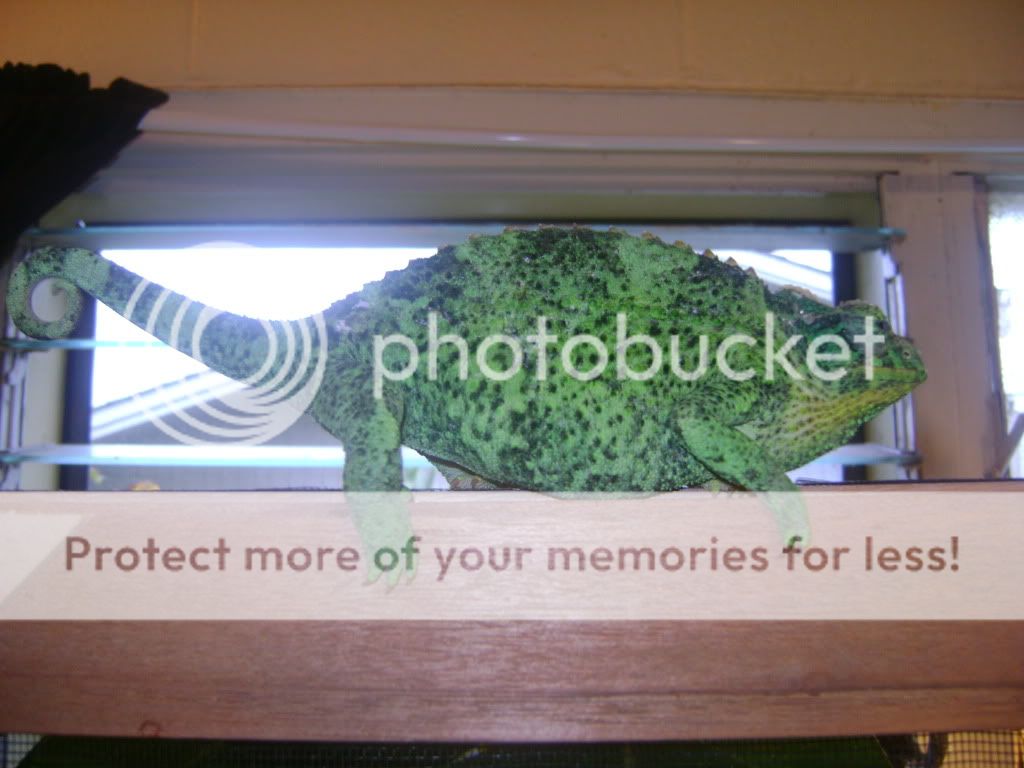 DSC09097.jpg