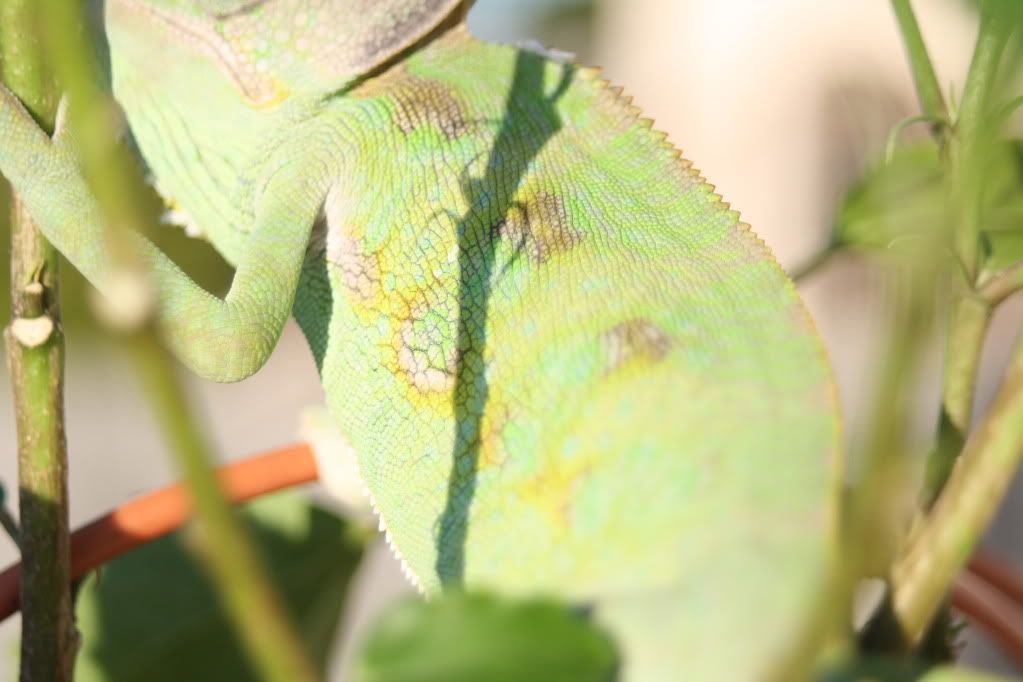 20110804_93.jpg