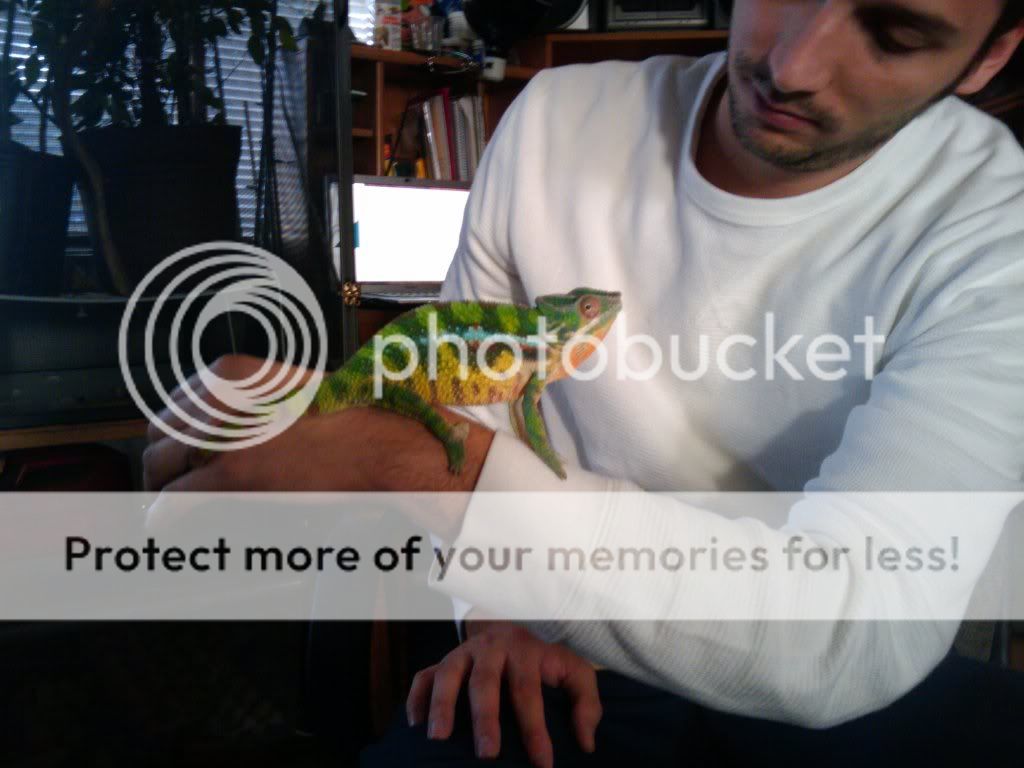 2010-01-18162223.jpg