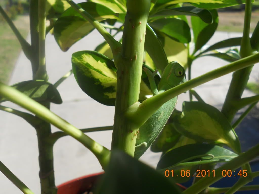 DSCN1227.jpg