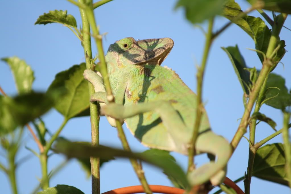 20110804_27.jpg