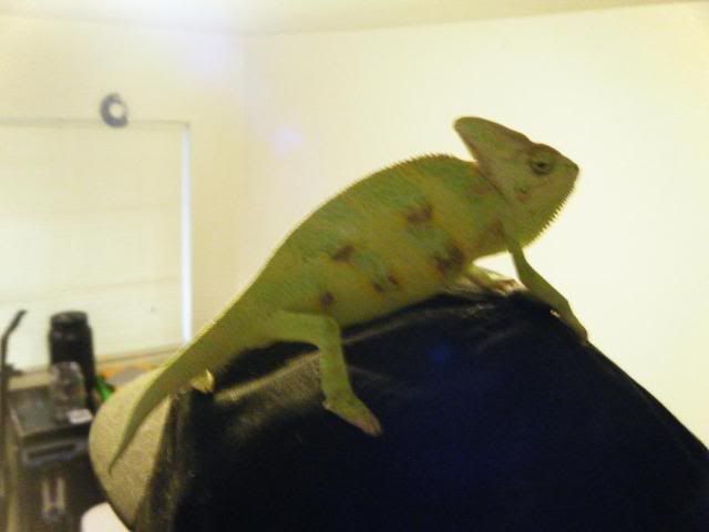 DSCF0545.jpg