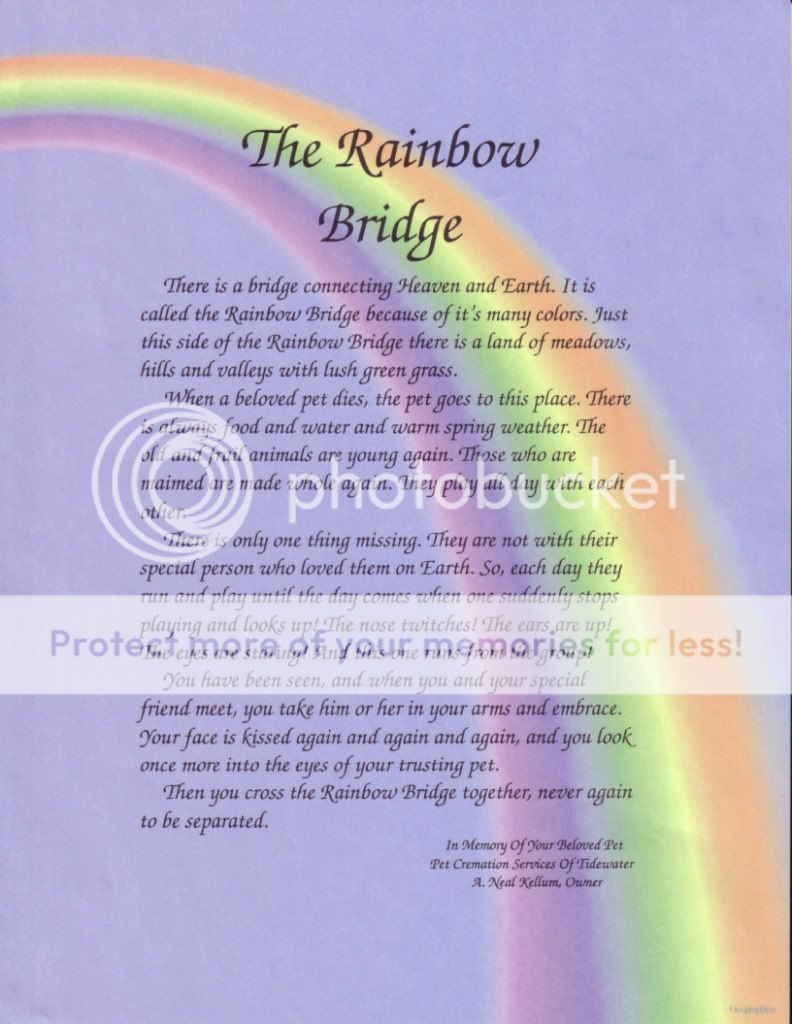 RainbowBridge.jpg