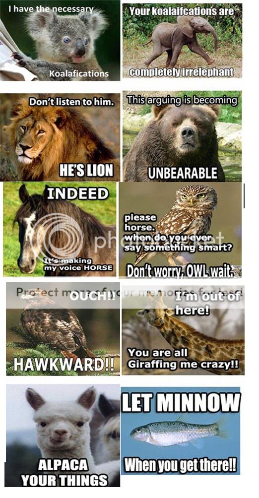tumblr_mdi87mHH561rseb86o1_1280.jpg