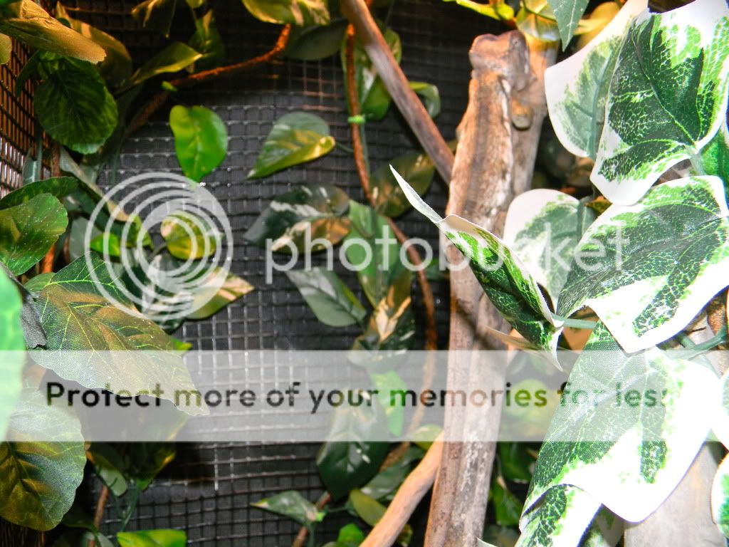 DSCN1034.jpg