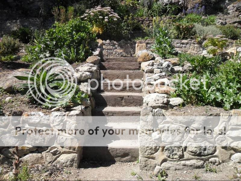 Steps.jpg