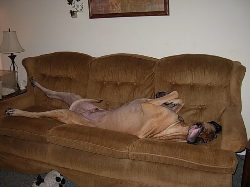 DSCN5188.jpg