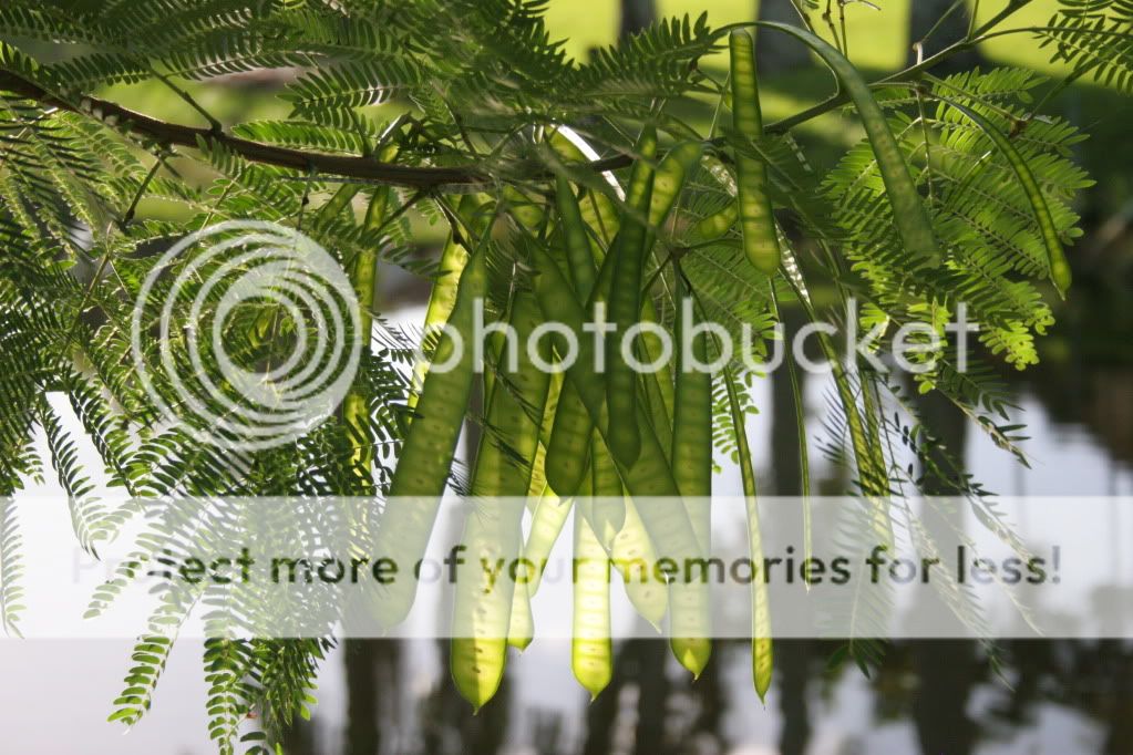 IMG_4784.jpg