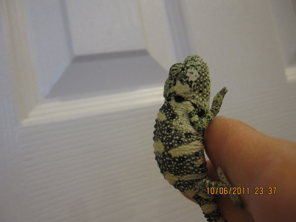 6220129329_50e49cfff7_b.jpg