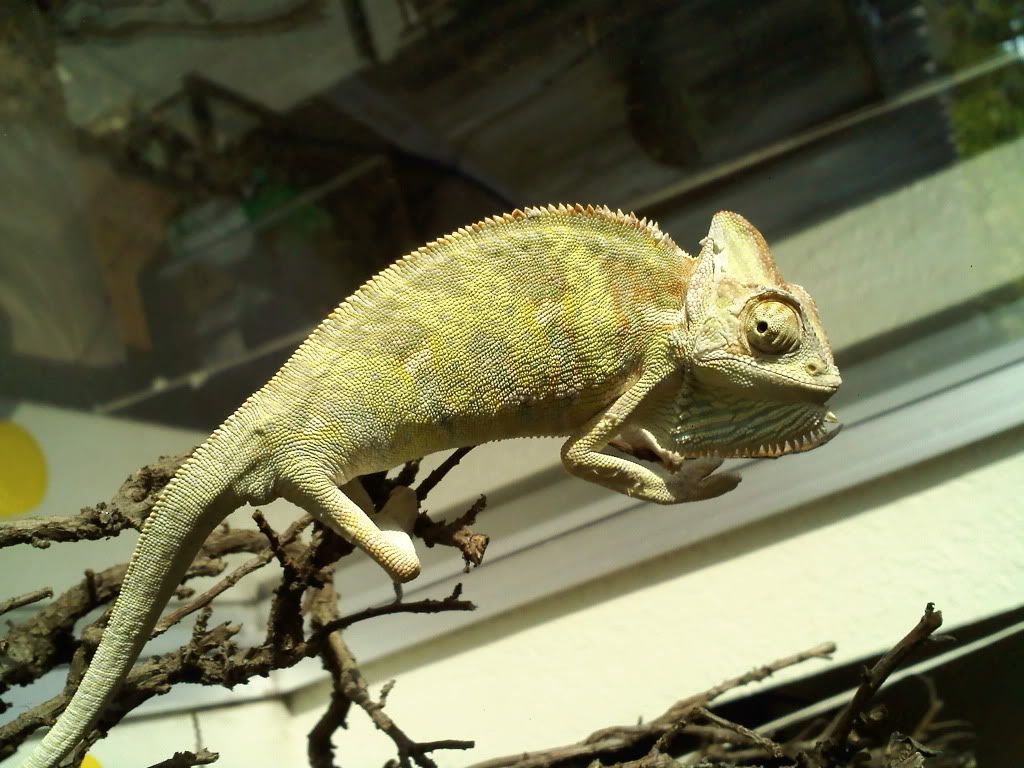 0426001655a.jpg