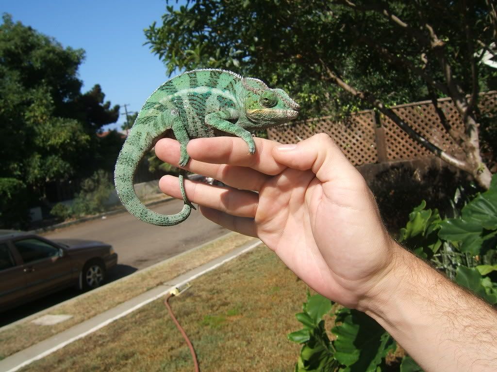 DSCF7591.jpg