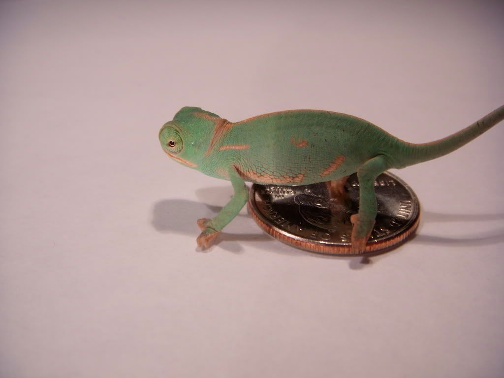 DSCN1432.jpg