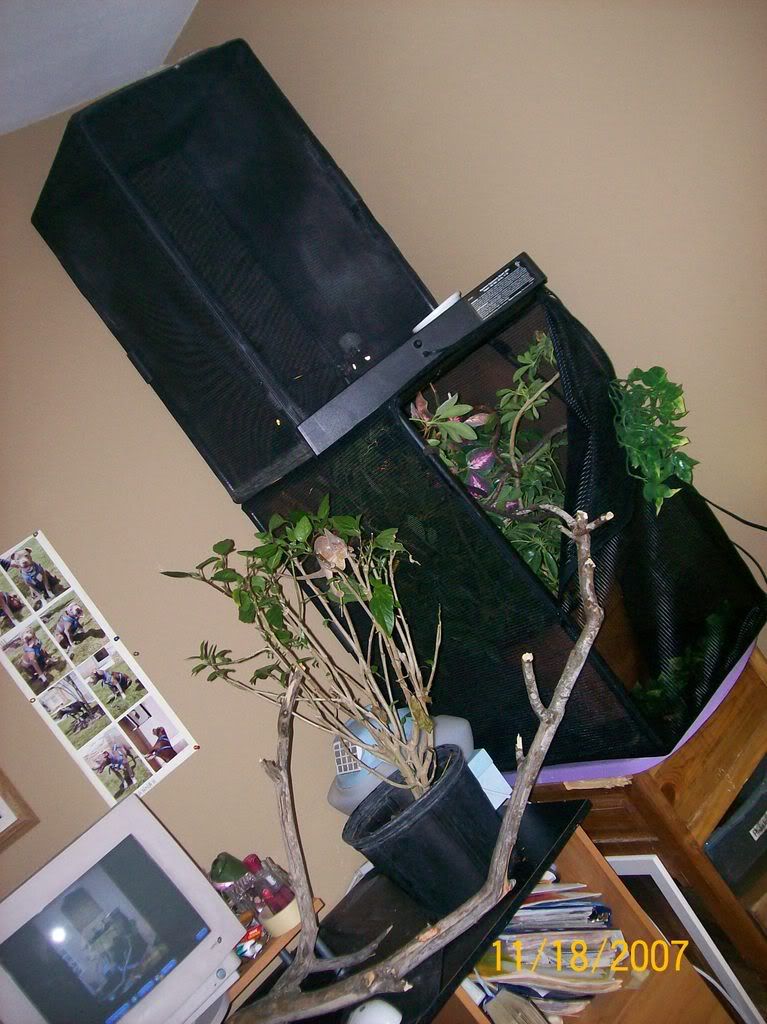 000_0002_01-2.jpg