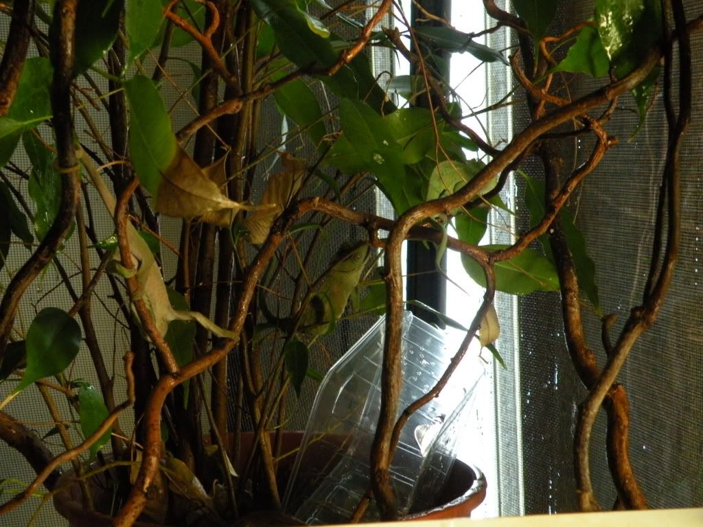 DSCN7886.jpg