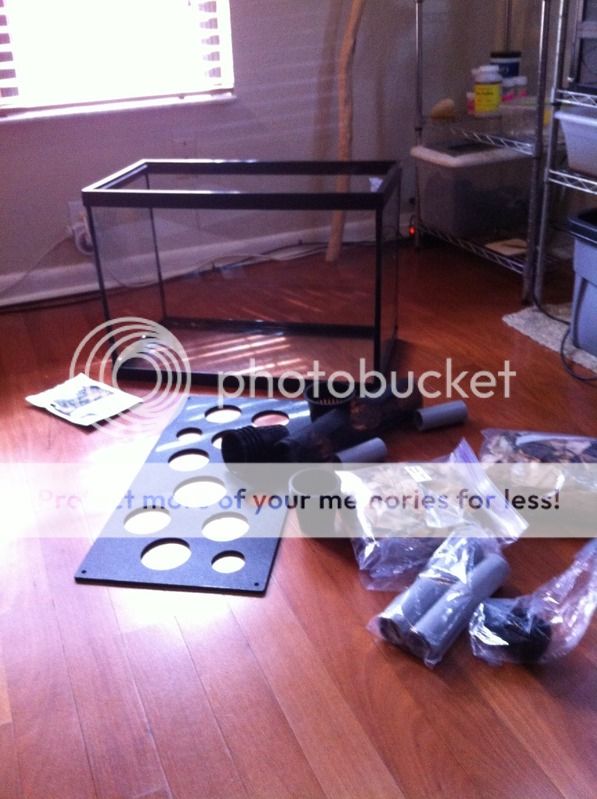 photo2-1.jpg