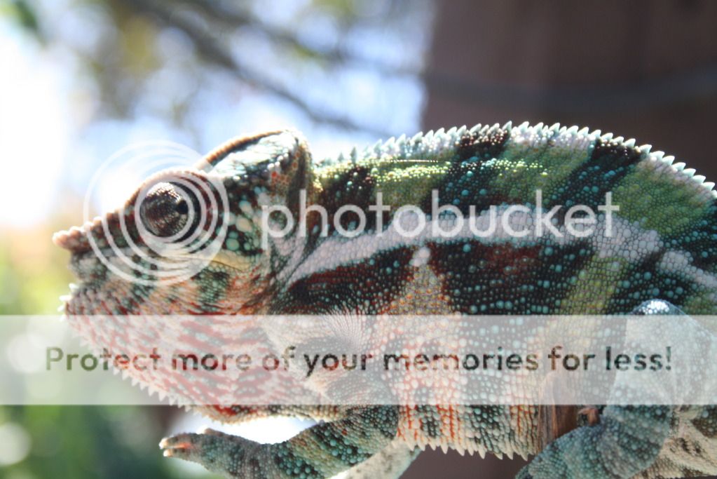 outsidepics004.jpg