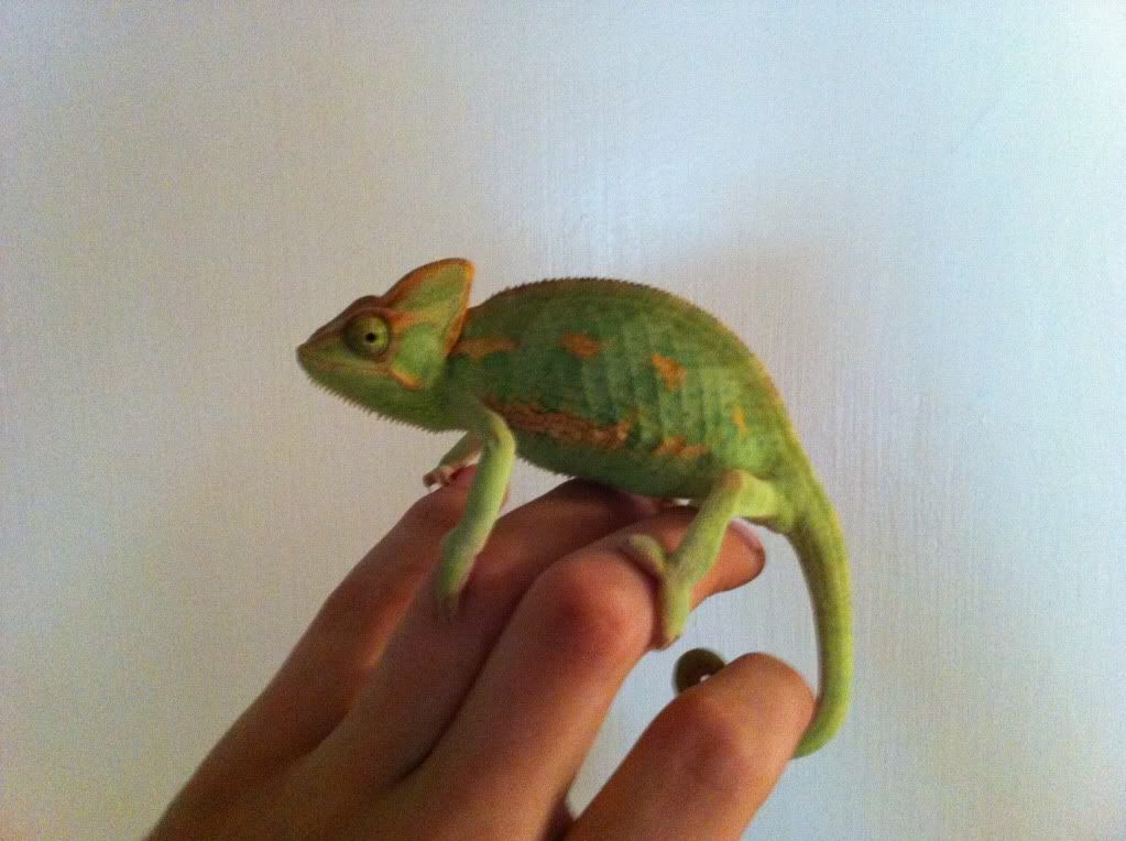 2012-10-08135046.jpg