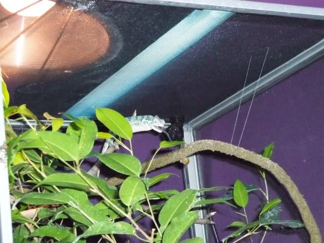 100_0193.jpg