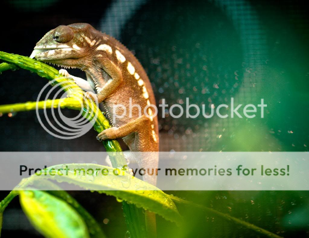 IMG_0044_zps0736e3cc.jpg