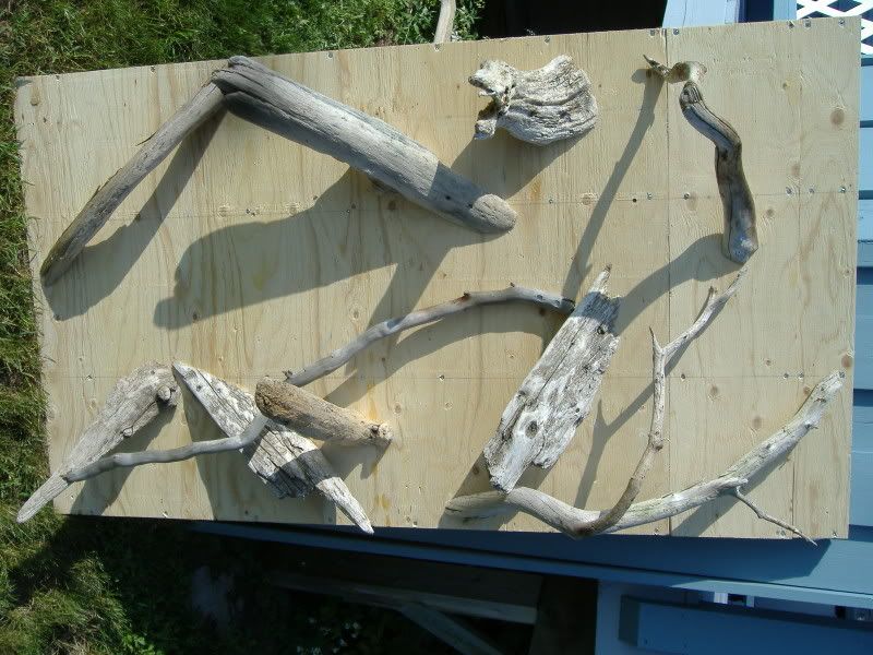 LennyMansion005.jpg