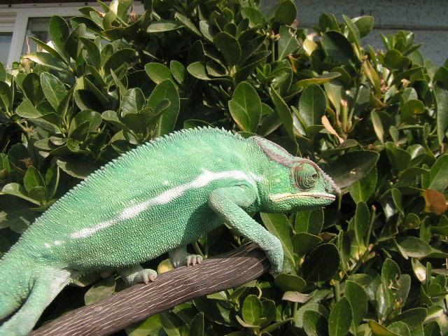 PICT3514.jpg