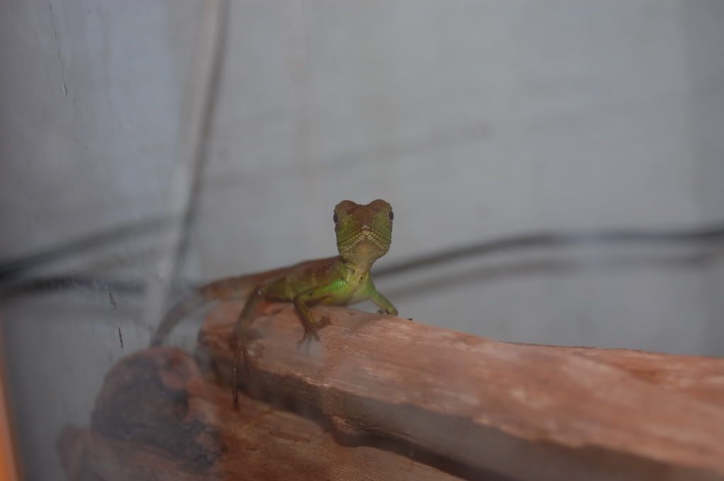 DSC_0073.jpg