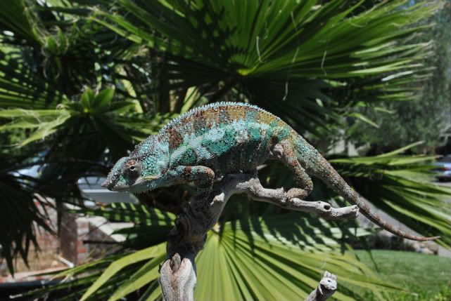 DSC_02173.jpg
