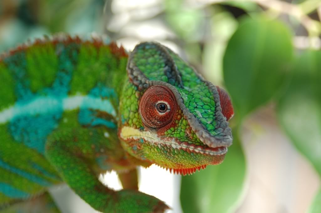 DSC_0057a.jpg