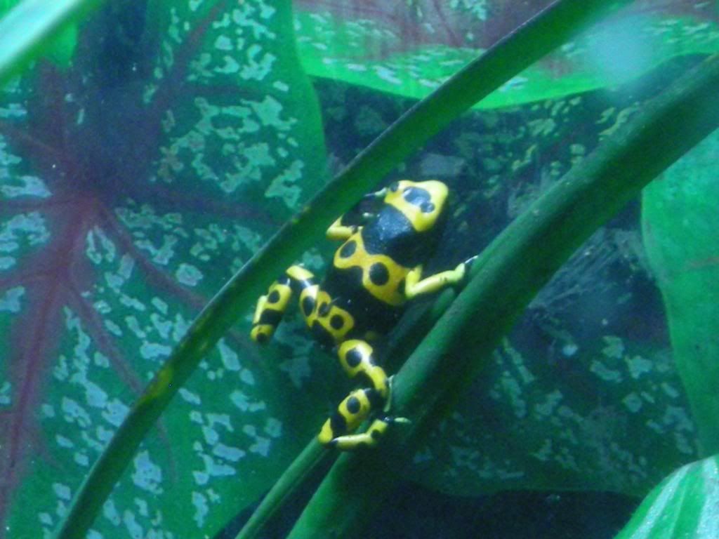 3-5-09022.jpg