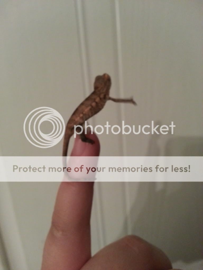 20121023_211554.jpg