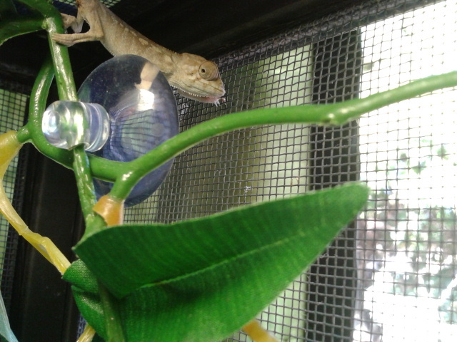 2012_10_21_15_39_37.jpg