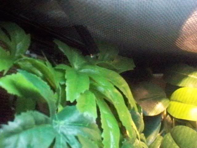 093.jpg