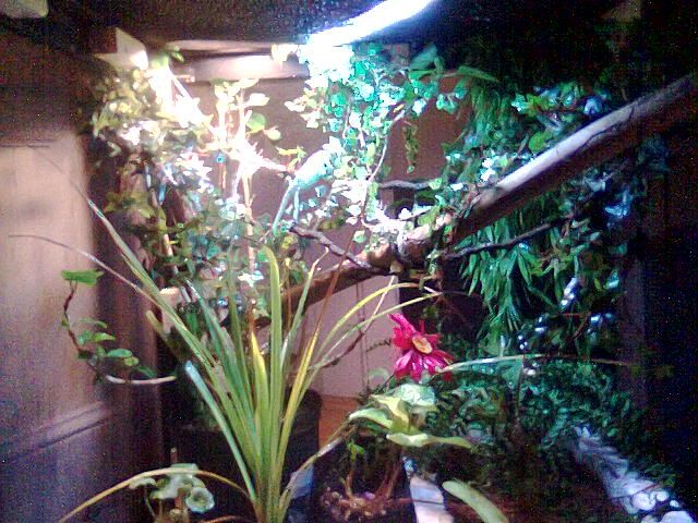 Pix0242.jpg