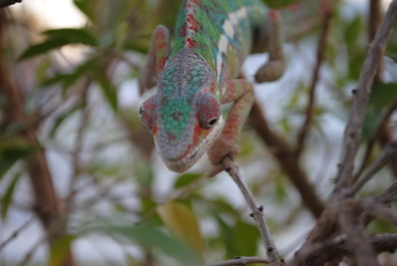 DSC_0210.jpg