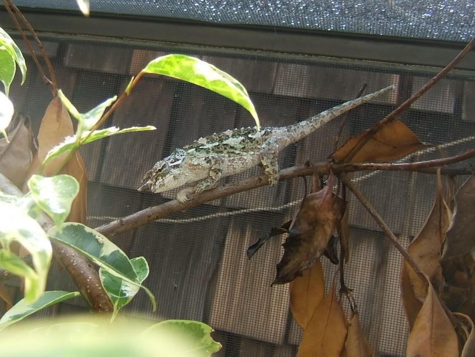 DSCF7533.jpg