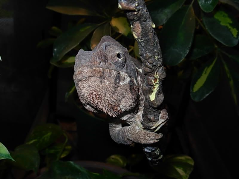 DSCN4083.jpg