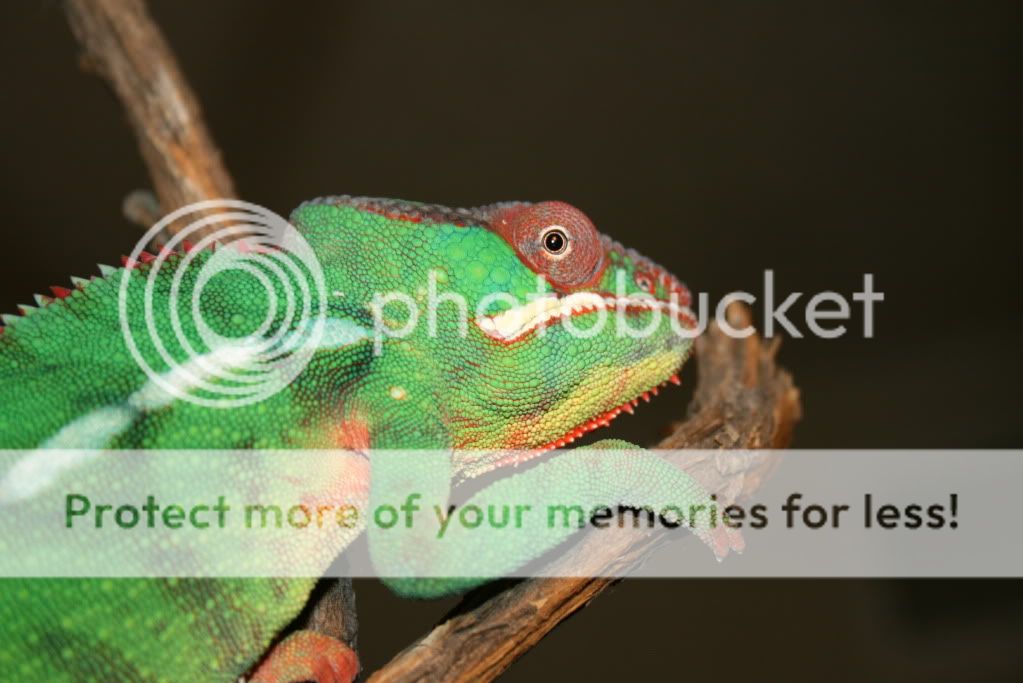 picsfromtoday017.jpg