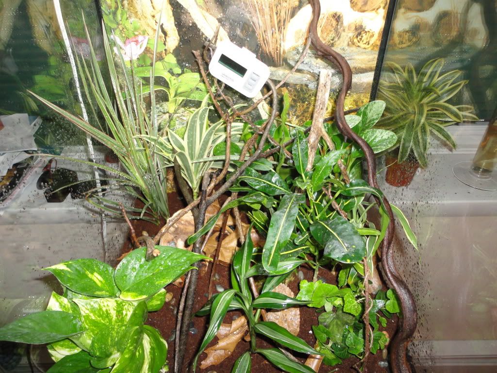 DSC00504.jpg