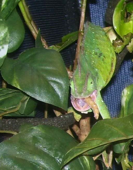 100_7528.jpg