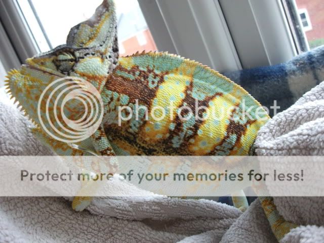 DSCF2279.jpg