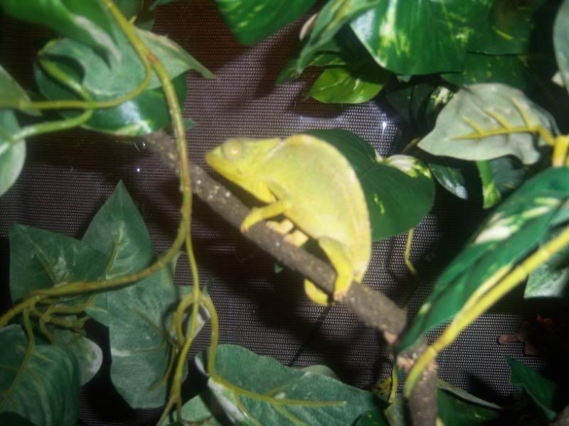 000_0202.jpg