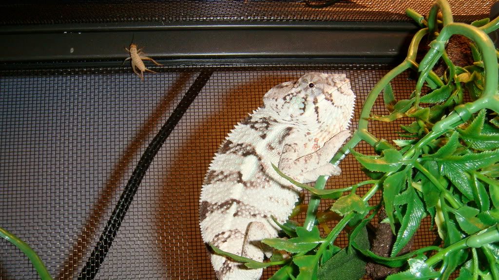 DSC01304.jpg