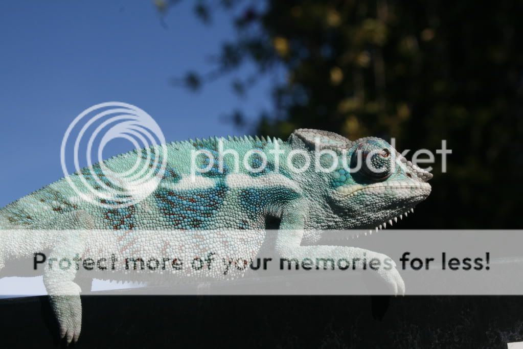 eospics9-19-09010-5.jpg