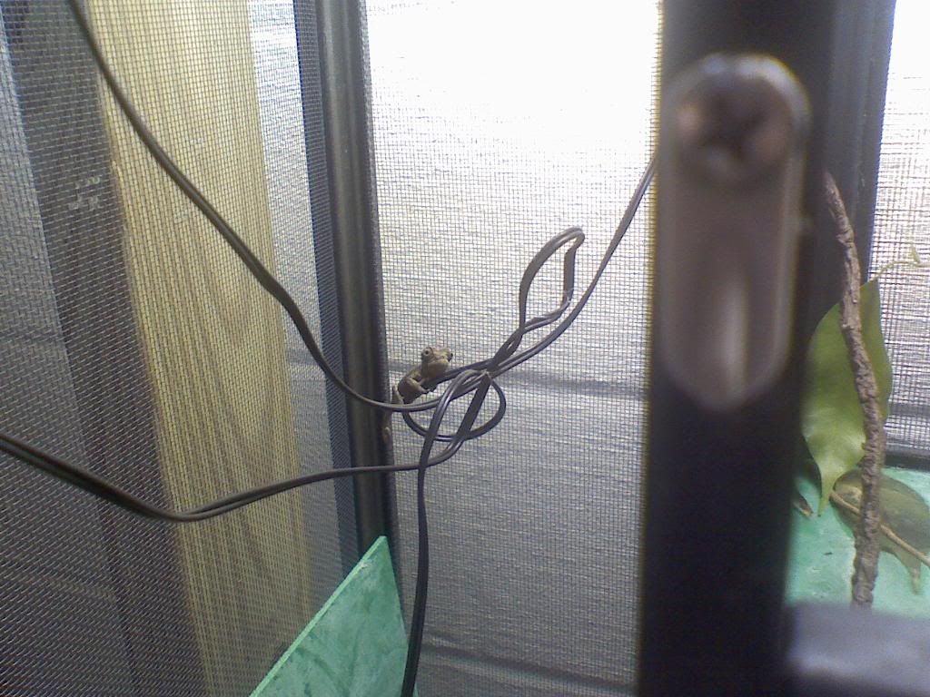 1115081933.jpg