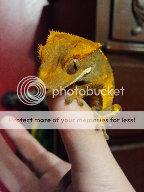 2011-07-23_225139.jpg