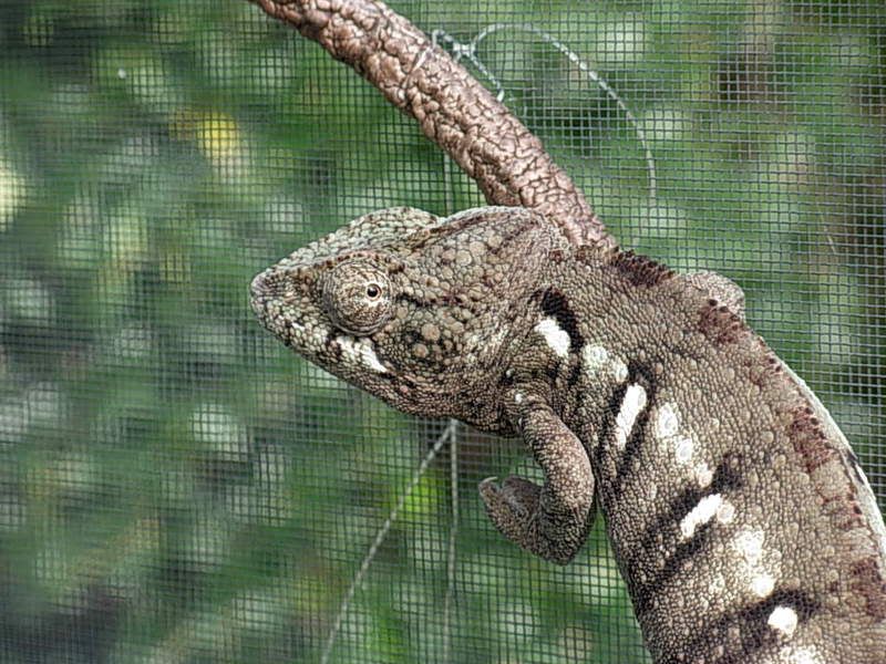 DSCN0989.jpg
