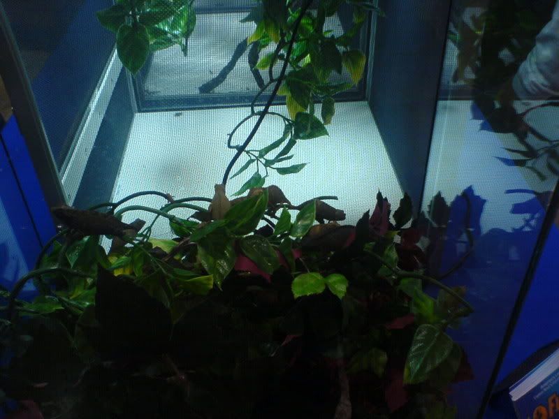 DSC00684.jpg