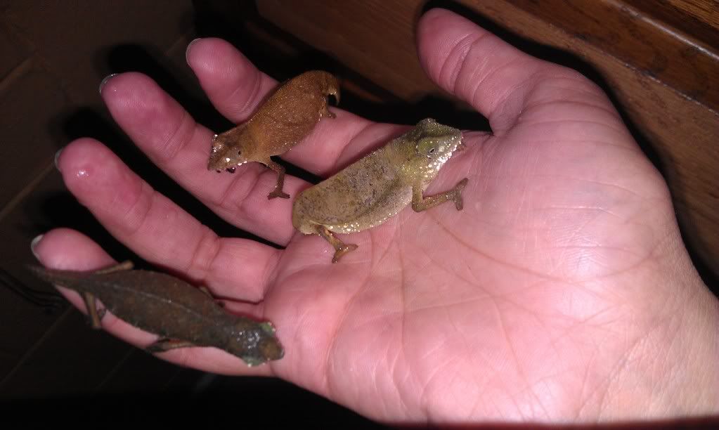 IMAG0235.jpg